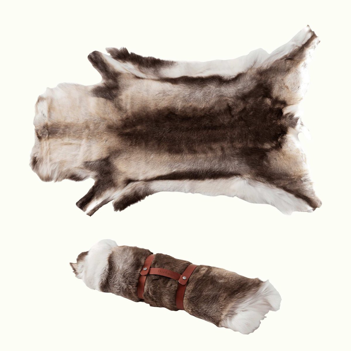 Renskinn Ward Stur Sarv - Bild 2