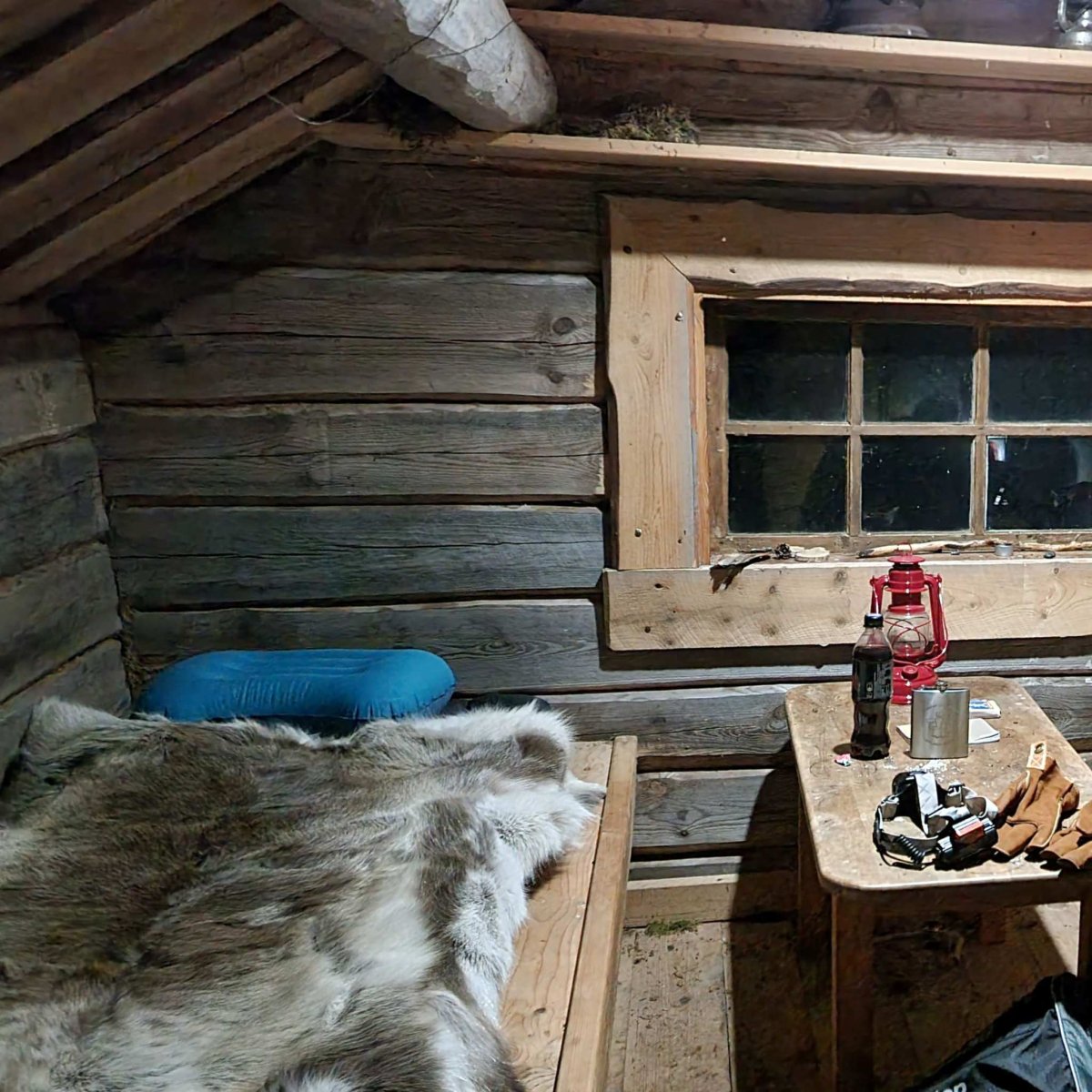 Renskinn Ward Stur Sarv - Bild 3